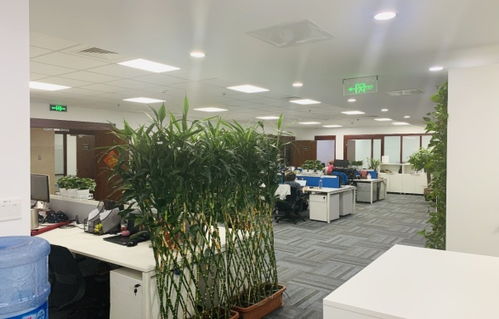 西直门 凯旋大厦精装修 绿化好 家具齐全 户型方正随时可看出租 办公楼租赁 北京我爱我家