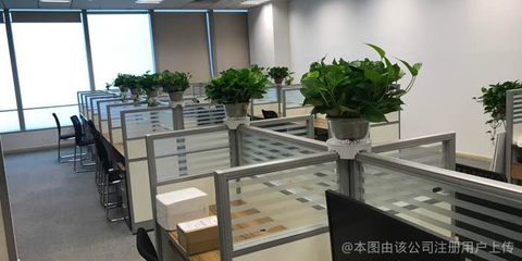 山东齐融财务咨询公司
