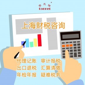 上海财务咨询 财税咨询服务内容有哪些