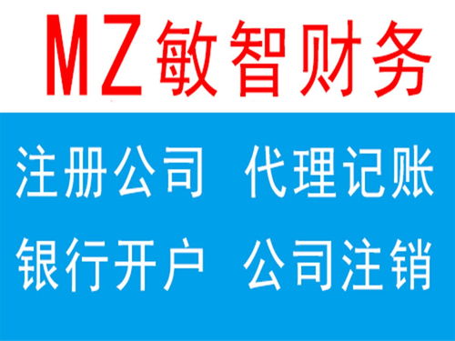 深圳市敏智财务咨询