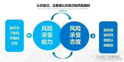 投基策略 最近大火的 收蛋攻略 ,你知道吗